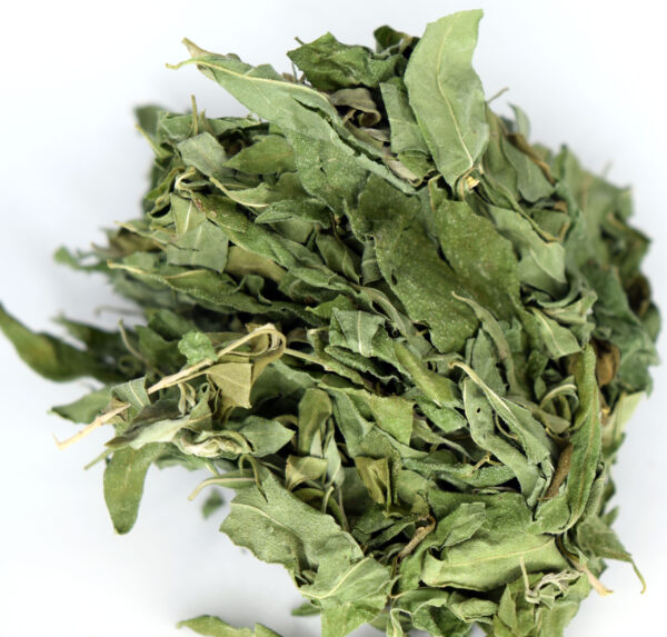 NeuroLeaf #1 Looseleaf Whitebrush Tea Anxiety Relief - Image 3