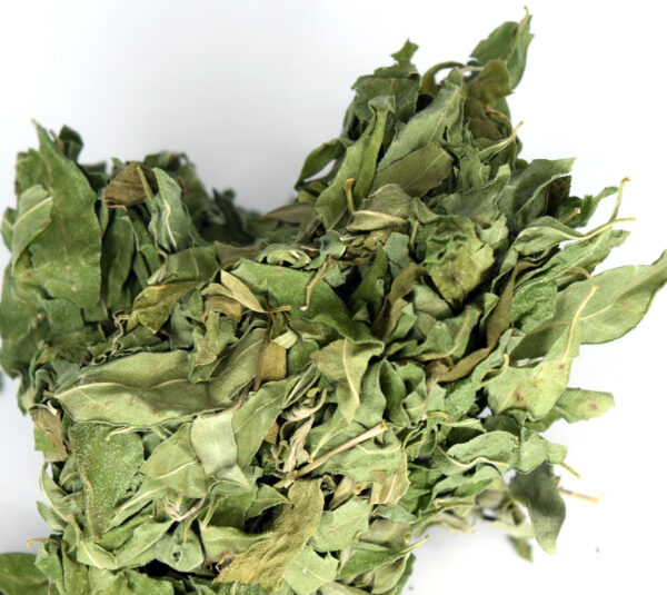 NeuroLeaf #1 Looseleaf Whitebrush Tea Anxiety Relief - Image 4